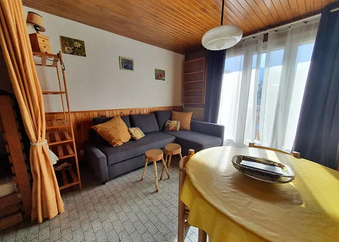 Myosotis B - 31 - Lumineux - 4 Pers Appartamento *