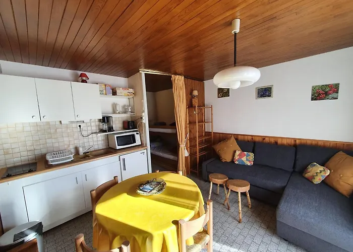 Myosotis B - 31 - Lumineux - 4 Pers Les Deux Alpes